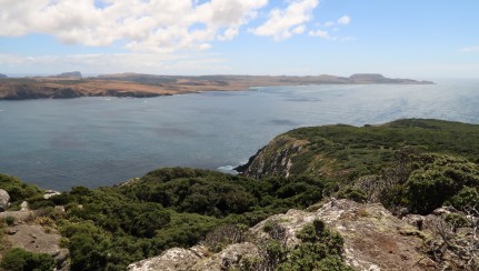 Pitt Island from the summit of Rangatira Image: Dave Boyle