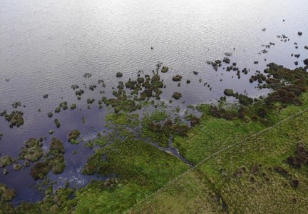 Ariel view of wetlands on the Western edge of Lake Huro. Image: Milly Farquar