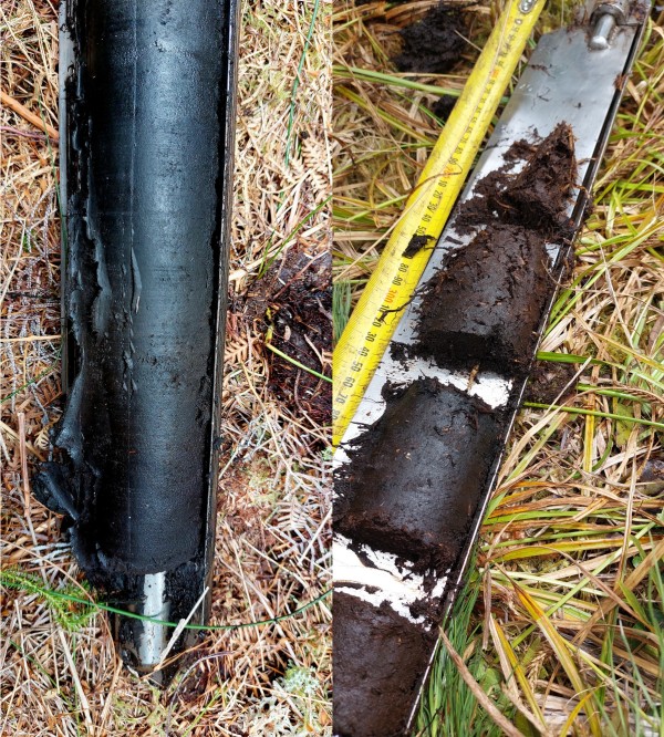 Two photos, each showing a cylinder of soil extracted in a metal device from a wetland.